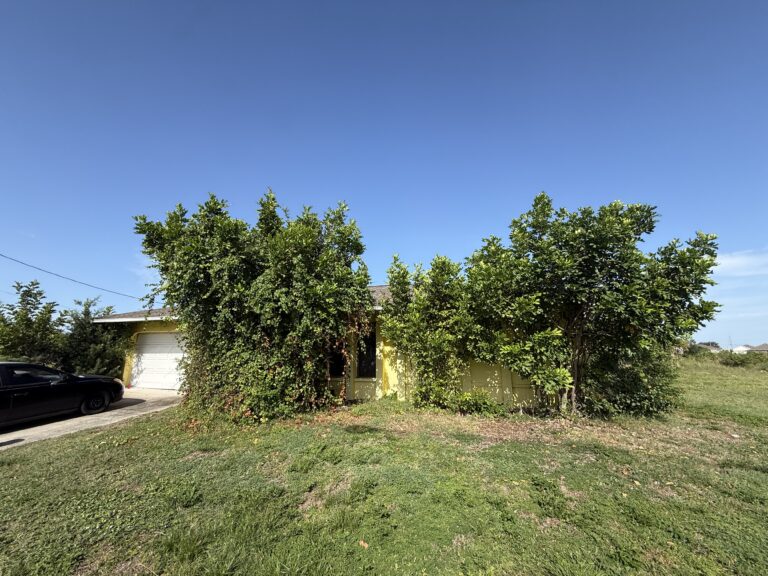 Single-story yellow house with overgrown shrubs covering the front, the kind of house we buy as-is