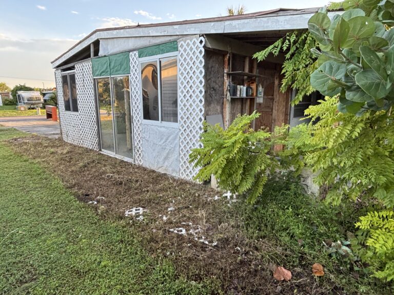 Side of an older home with damaged siding, exposed framing and overgrown plants